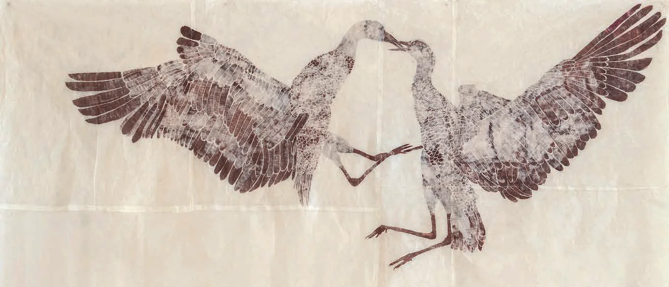 Birds Playing in Flight, 2024